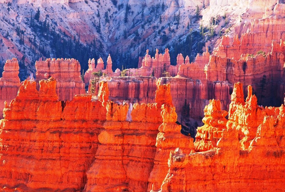 Splendors of the West